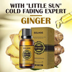 EELHOE Pure Ginger Essential Oil For Body Massage & Muscle Tension Relief