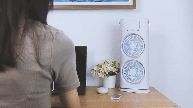 Portable Double Ended Spray Fan With Cooling Mist & LED Lights